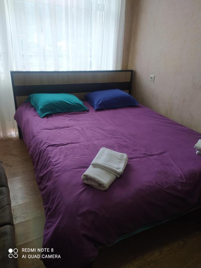 Alena'S Flat Daire Borjomi Dış mekan fotoğraf