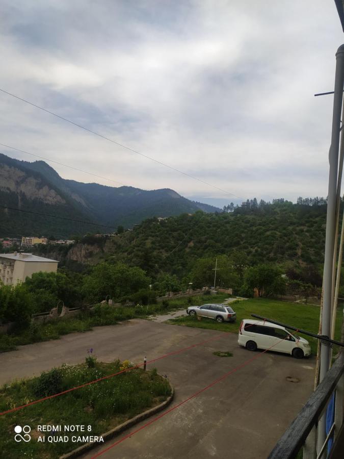 Alena'S Flat Daire Borjomi Dış mekan fotoğraf