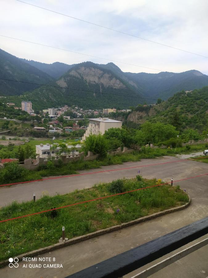 Alena'S Flat Daire Borjomi Dış mekan fotoğraf