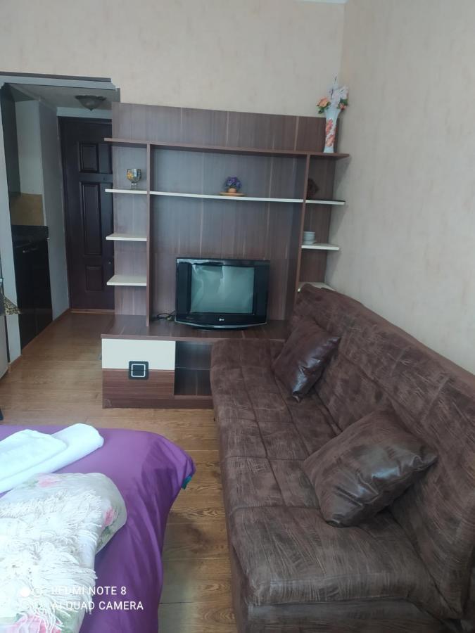 Alena'S Flat Daire Borjomi Dış mekan fotoğraf