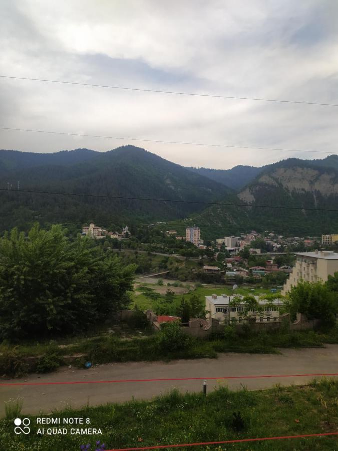 Alena'S Flat Daire Borjomi Dış mekan fotoğraf