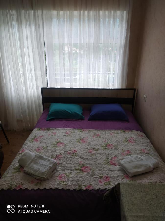 Alena'S Flat Daire Borjomi Dış mekan fotoğraf