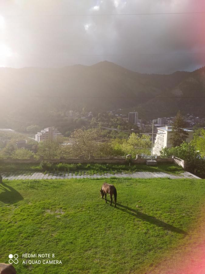 Alena'S Flat Daire Borjomi Dış mekan fotoğraf