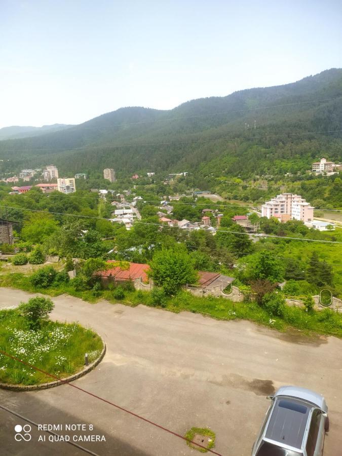 Alena'S Flat Daire Borjomi Dış mekan fotoğraf