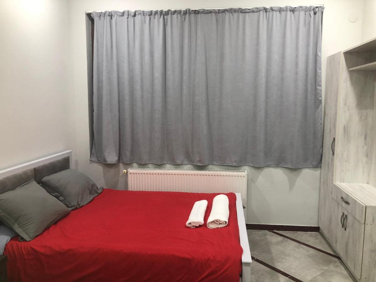 Alena'S Flat Daire Borjomi Dış mekan fotoğraf