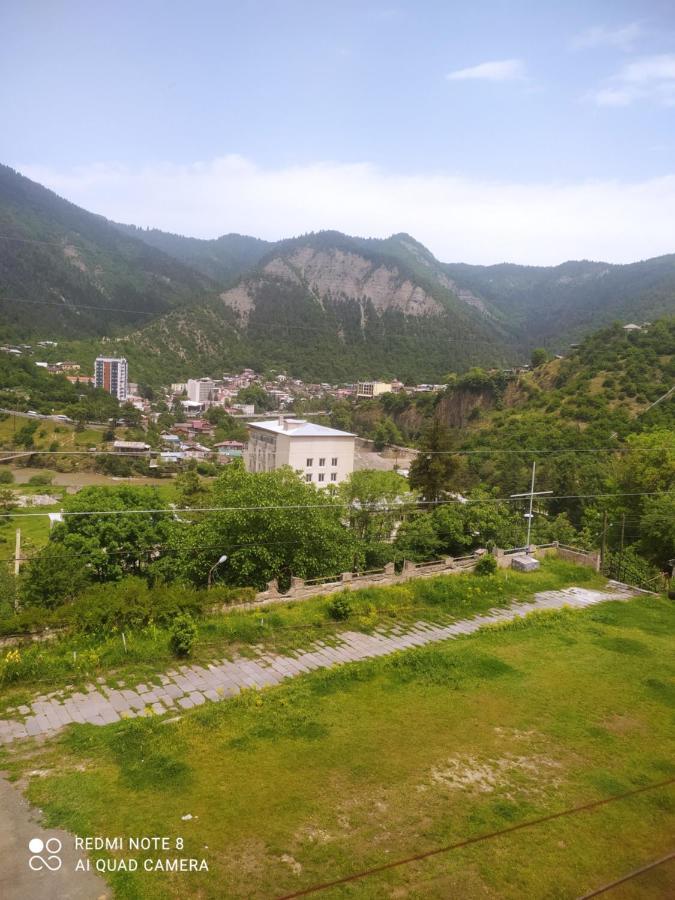 Alena'S Flat Daire Borjomi Dış mekan fotoğraf