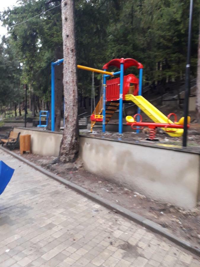Alena'S Flat Daire Borjomi Dış mekan fotoğraf