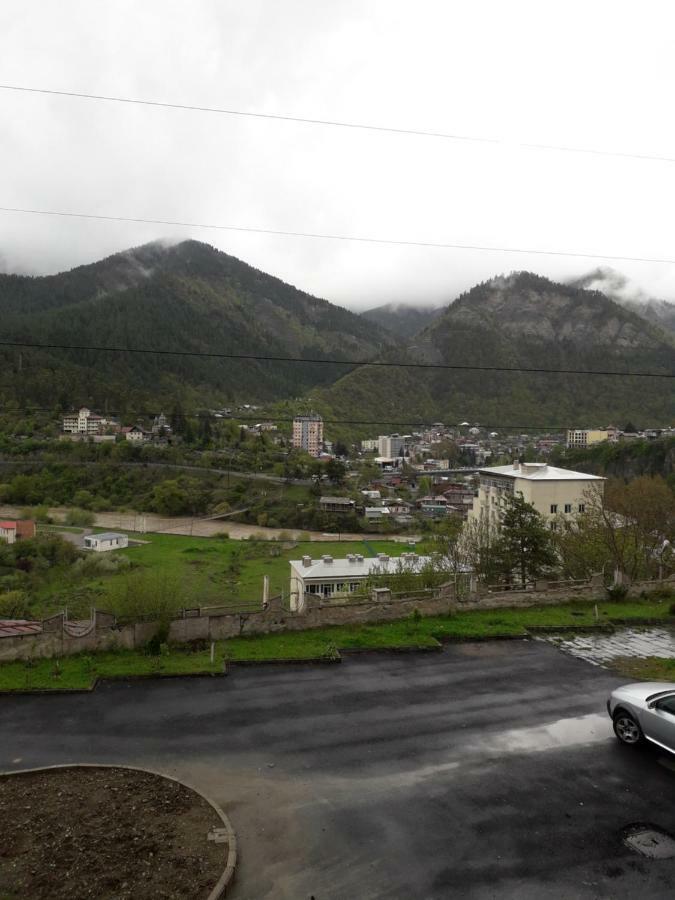 Alena'S Flat Daire Borjomi Dış mekan fotoğraf