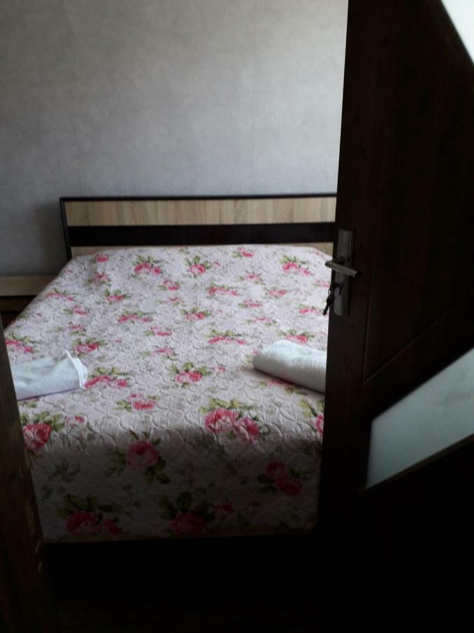 Alena'S Flat Daire Borjomi Dış mekan fotoğraf