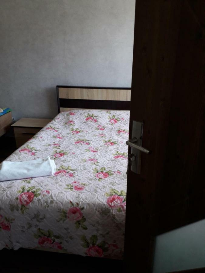 Alena'S Flat Daire Borjomi Dış mekan fotoğraf