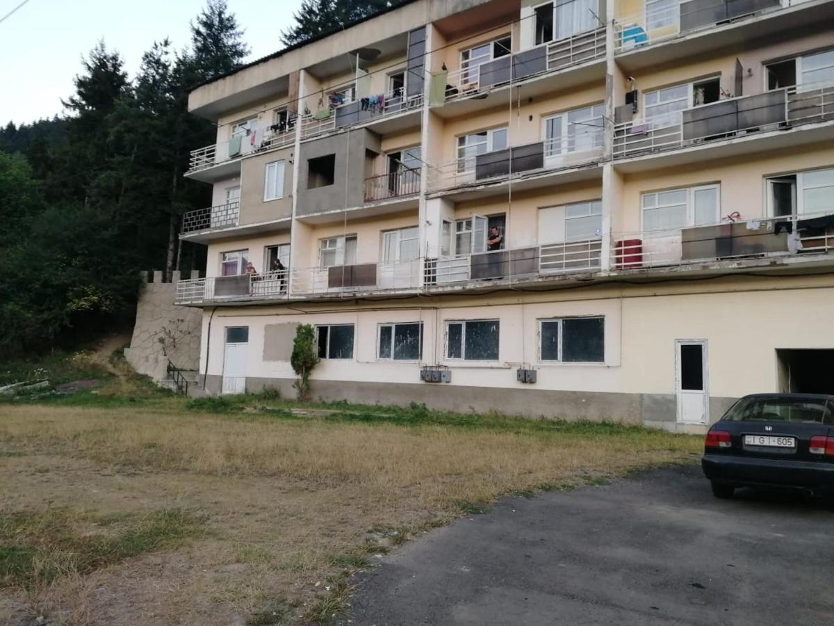 Alena'S Flat Daire Borjomi Dış mekan fotoğraf