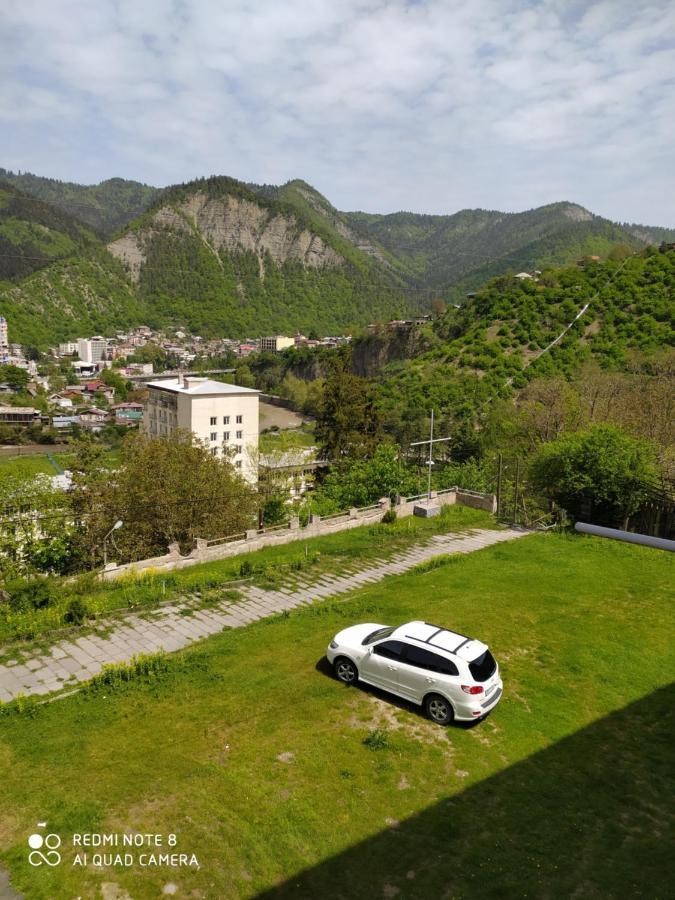 Alena'S Flat Daire Borjomi Dış mekan fotoğraf