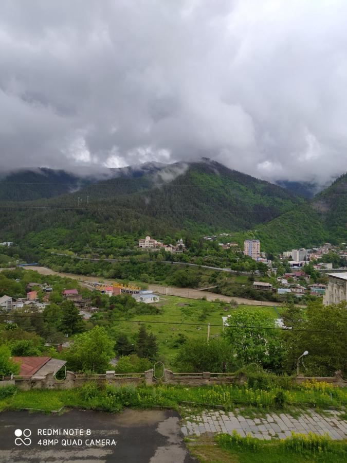 Alena'S Flat Daire Borjomi Dış mekan fotoğraf